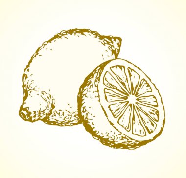 Limon. Vektör çizim