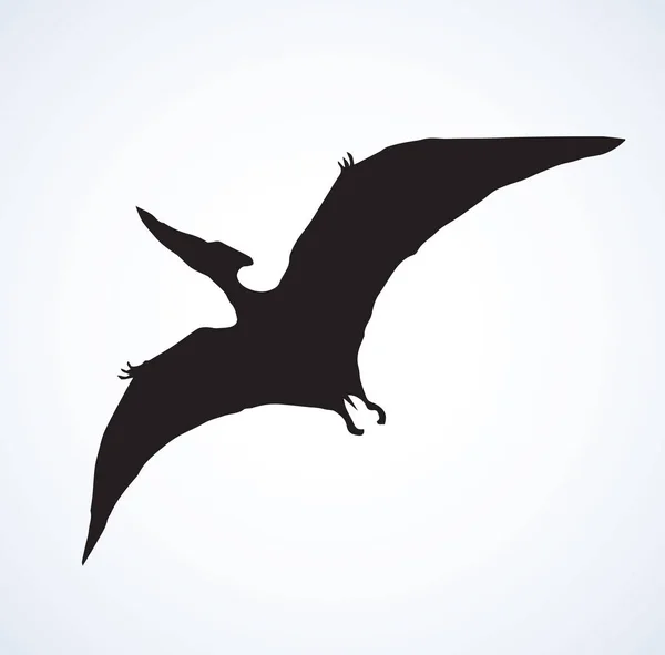 Pterodáctilo. Dibujo vectorial — Vector de stock