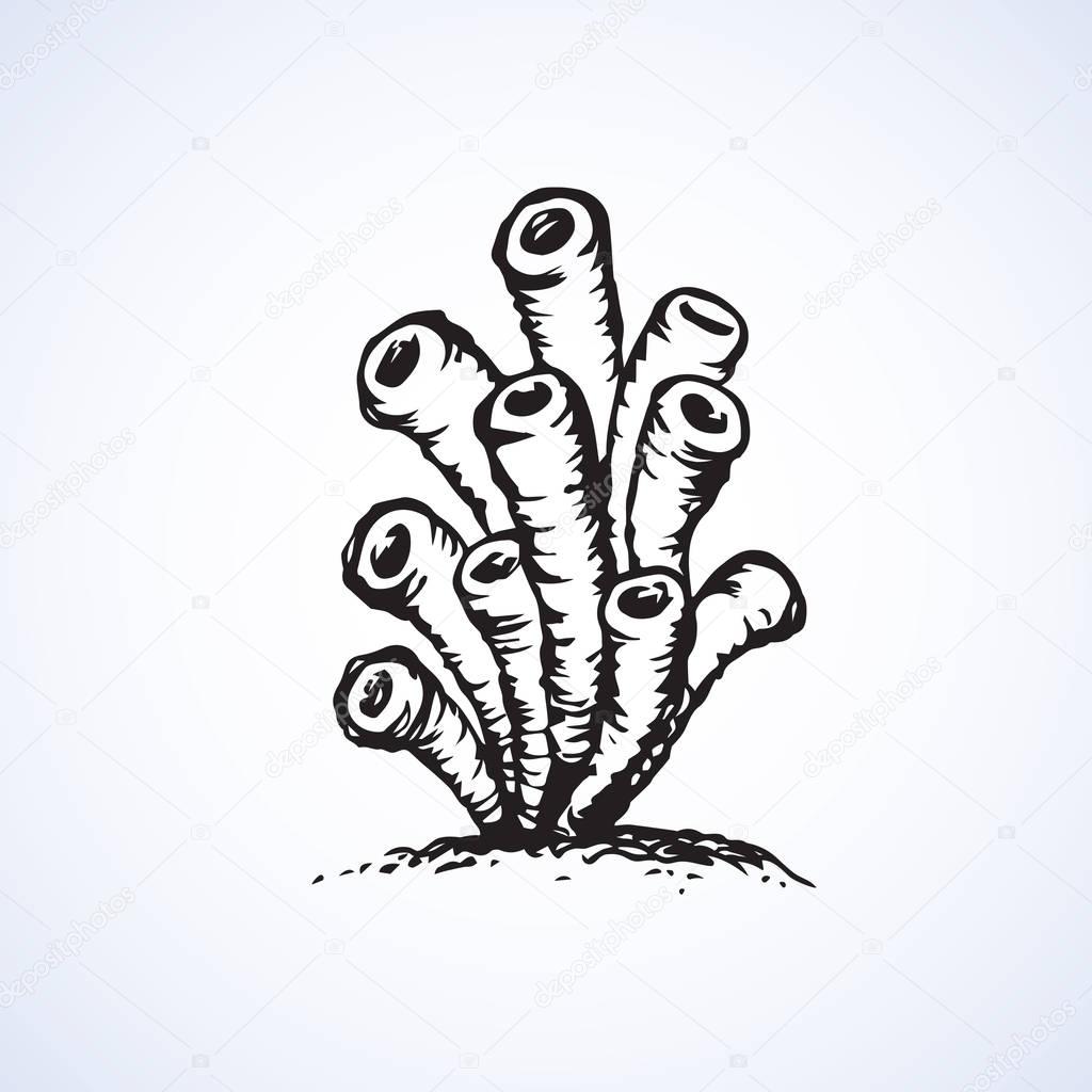 Cute soft Porifera siphonella of tropical coral reef bonaire island. Freehand outline black ink hand drawn picture emblem sketchy in art scribble retro style pen on white paper backdrop. Closeup view