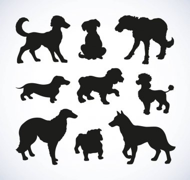 Çizim vektör anahattı. safkan köpekler ve Melez