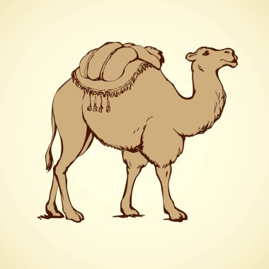 Gergedan. Vektör çizim