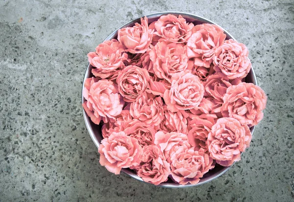 Róż w misce — Zdjęcie stockowe