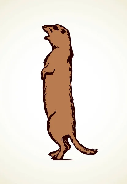 Groundhog. Vektor illustration — Stock vektor