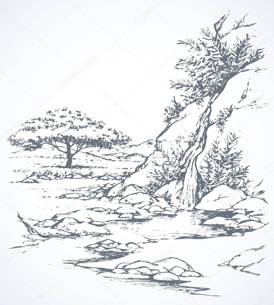 Vector landscape. Tree near a mountain stream
