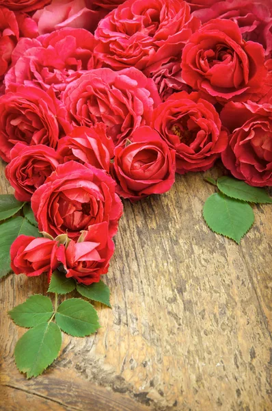 Rose rosa su sfondo di legno — Foto Stock