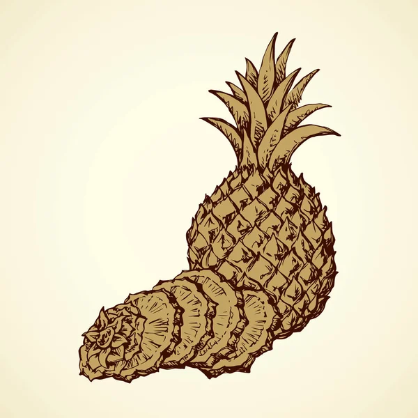 Ananas. Vector tekening — Stockvector