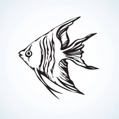 Triangular fish. Vector drawing clipart