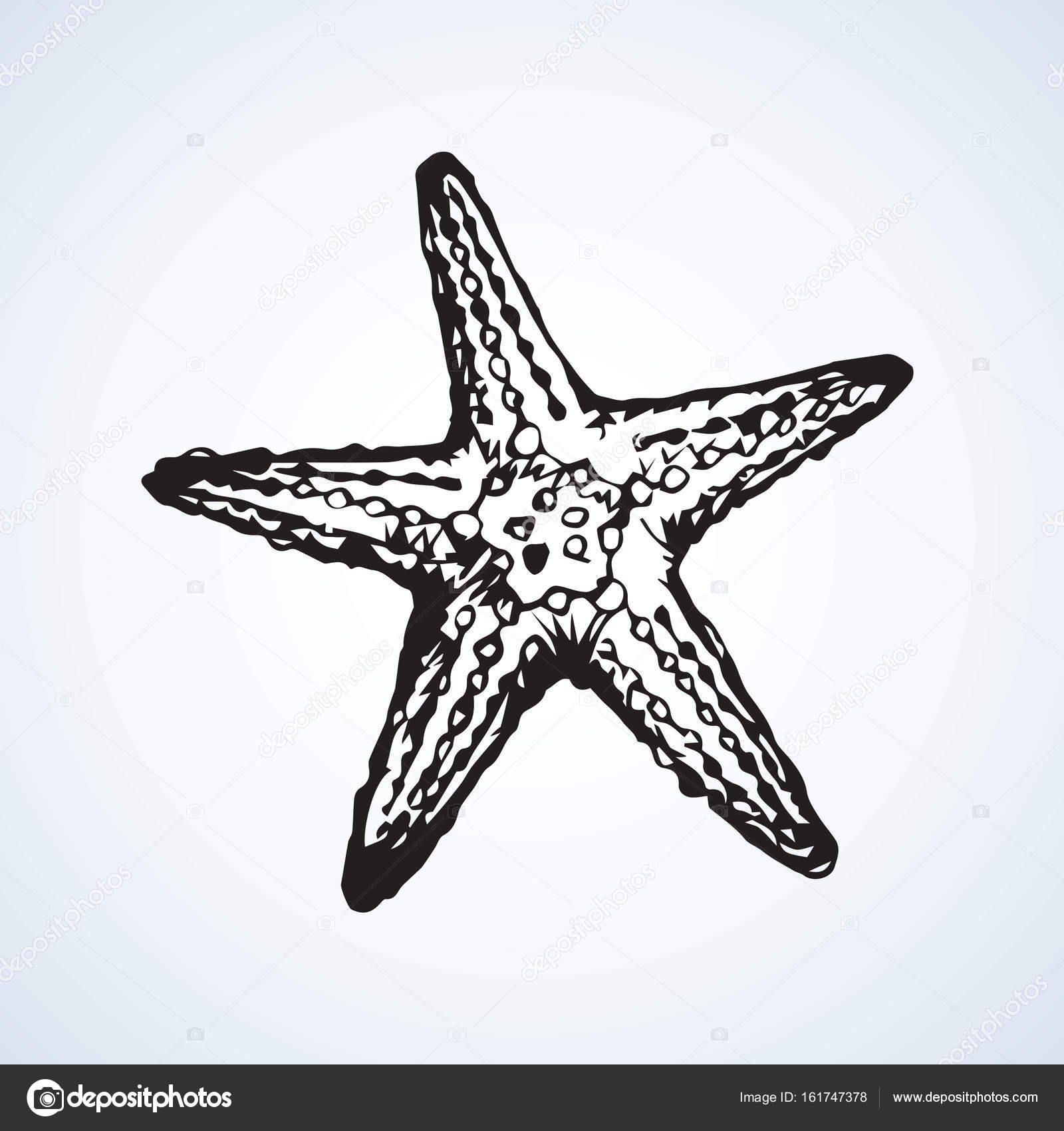 Download Starfish. Vector drawing — Stock Vector © Marinka #161747378