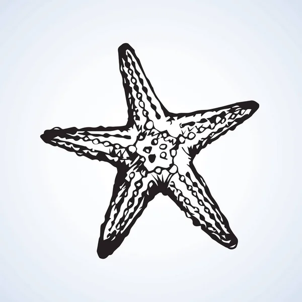 Bintang laut. Gambar vektor - Stok Vektor