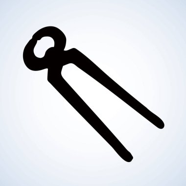 Deniz yıldızı. Vektör çizim