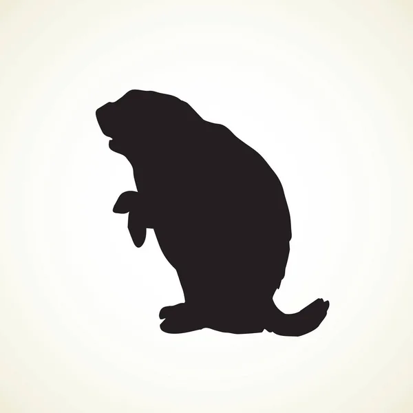 Groundhog. Vector εικονογράφηση — Διανυσματικό Αρχείο