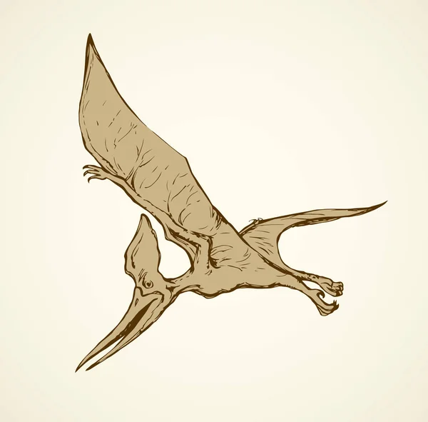 Ptérodactyle. Dessin vectoriel — Image vectorielle