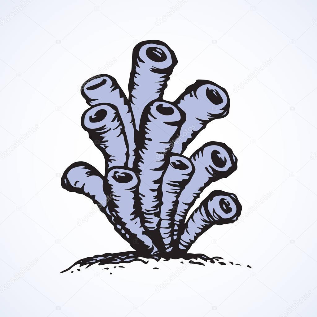 Cute soft Porifera siphonella of tropical coral reef bonaire island. Freehand outline black ink hand drawn picture emblem sketchy in art scribble retro style pen on white paper backdrop. Closeup view