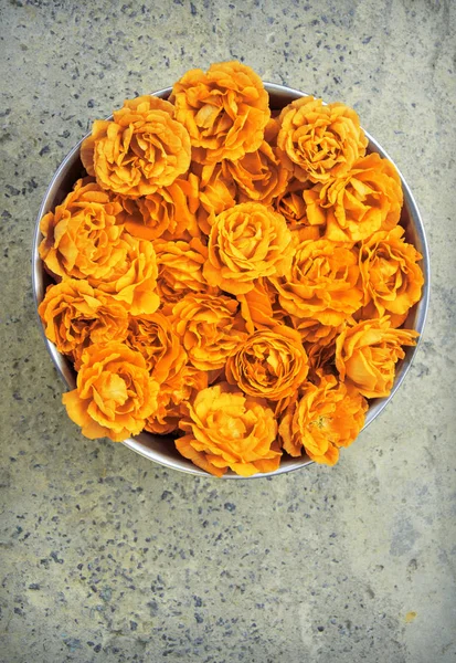 Růžové růže v misce — Stock fotografie