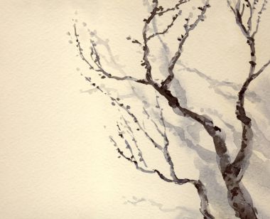 suluboya resim. çıplak yaşlı bir ağaç dalı