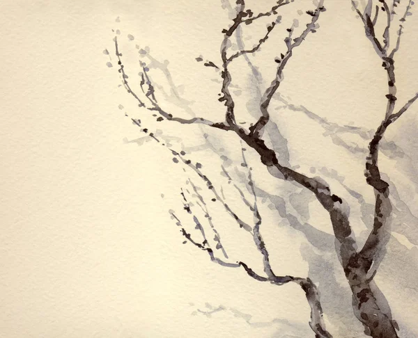 Watercolor painting. Bare branches of an old tree — Stock Photo, Image