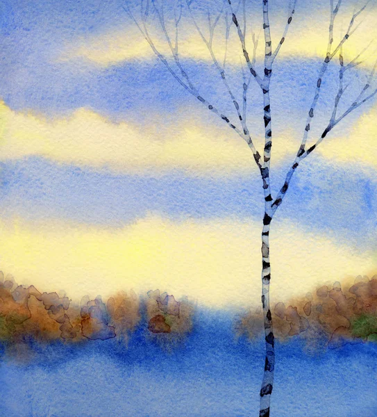 Bouleau dans le champ d'hiver. Aquarelle peinture — Photo