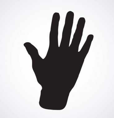 Palm. Vektör çizim