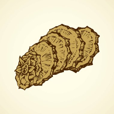 Ananas. Vektör çizim