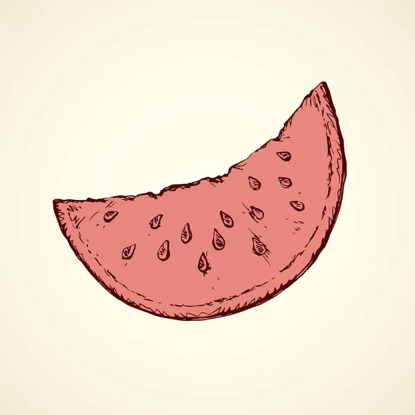 Watermelon. Vector drawing — Stock Vector