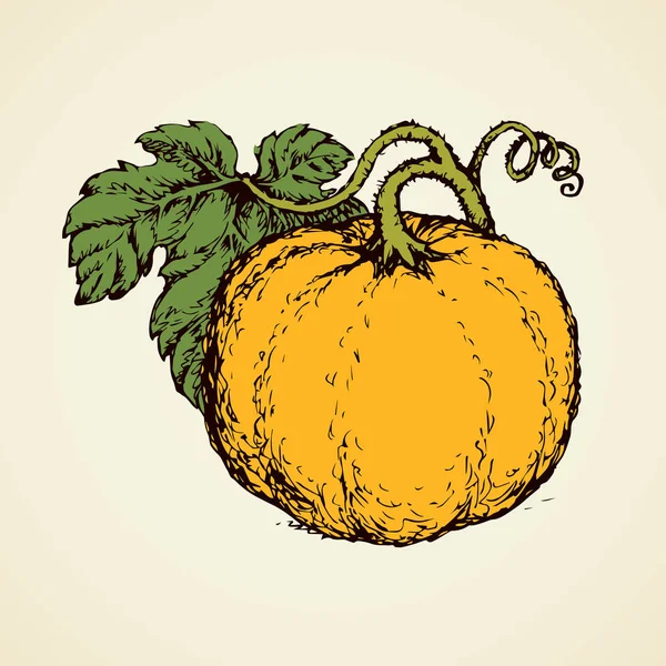 Pezzo di zucca. Disegno vettoriale — Vettoriale Stock