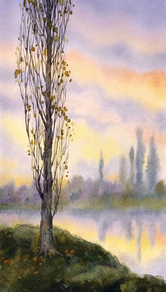 水彩风景。在静静的河面秋杨树 — 图库照片