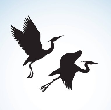 Stork. Vector drawing clipart