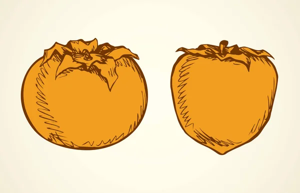 Persimmon. Dessin vectoriel — Image vectorielle