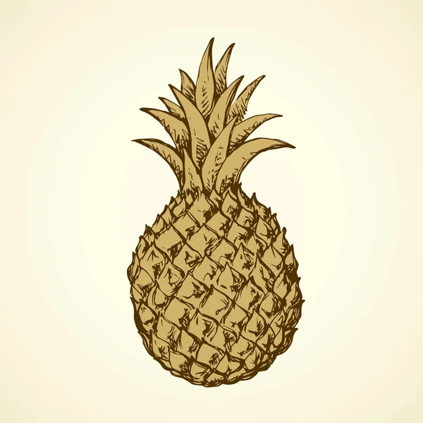 Ananas. Vector tekening — Stockvector