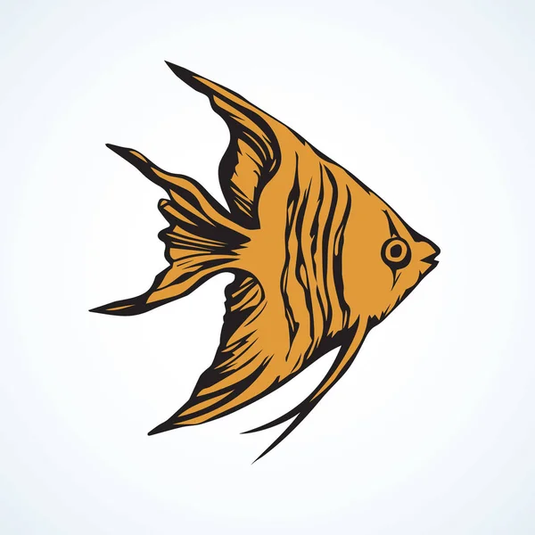 Triangular fish. Vector drawing — Stock Vector