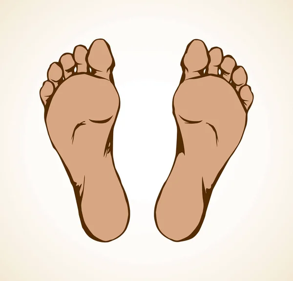 Foot. Vector drawing — Stock Vector