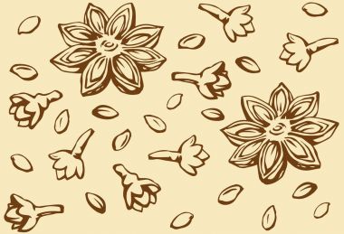 Anason. Vektör çizim