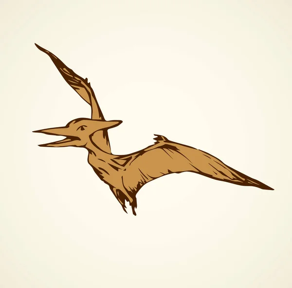 Pterodactyl. Vektorritning — Stock vektor