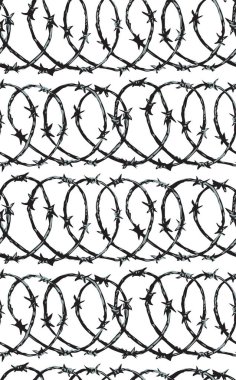 Dikenli tel. Vektör çizim