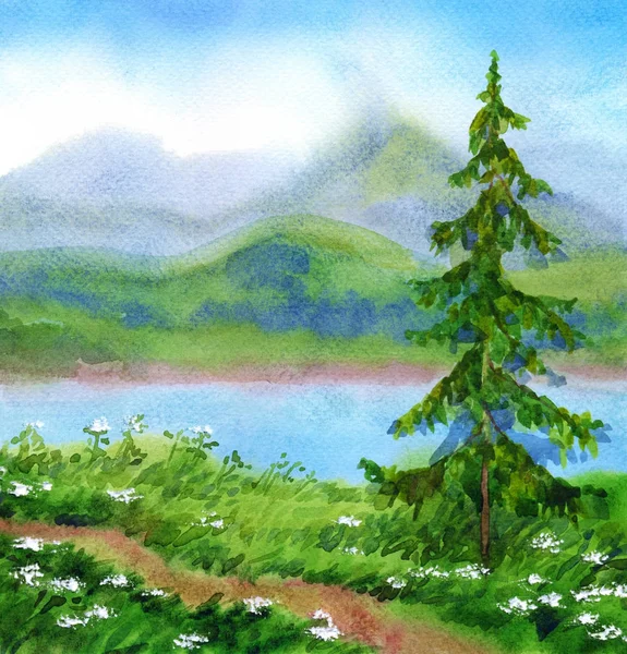 Paisagem aquarela. Abeto perto da trilha em uma colina — Fotografia de Stock