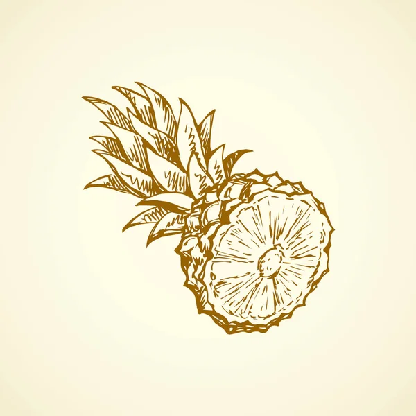 Ananas. Vector tekening — Stockvector