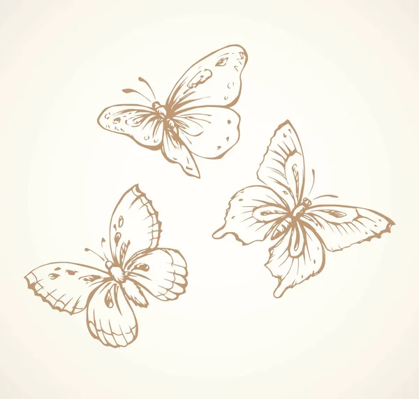 Butterfly. Vector drawing — Stock Vector