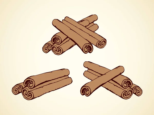 Cinnamon. Vector drawing — Stock Vector