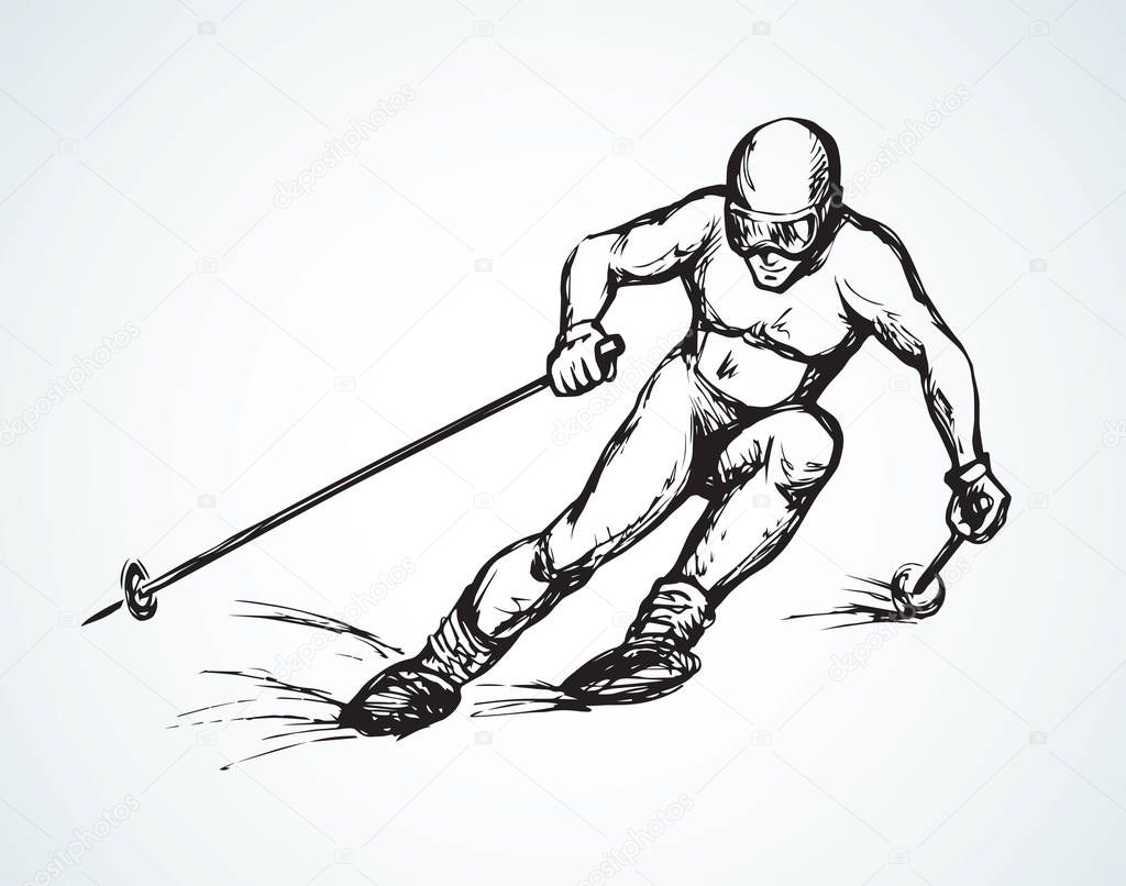 Skier. Vector drawing