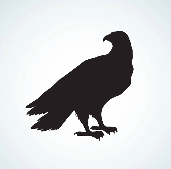 Eagle. Vektorritning — Stock vektor