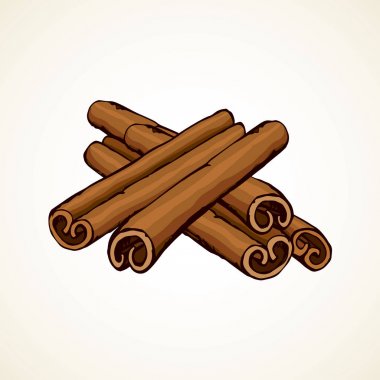 Tarçın. Vektör çizim