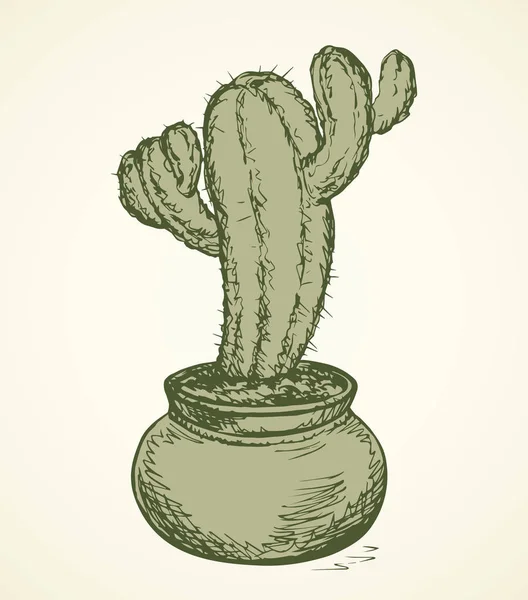 Cactus. Vector tekening — Stockvector