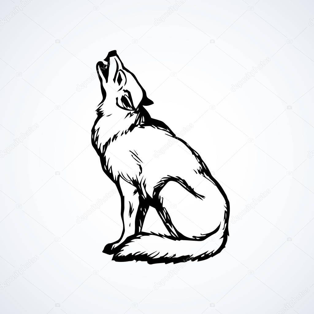 Furry gray canidae lagopus lupus stand on light sky backdrop. Freehand line black ink hand drawn picture sketchy in art retro scribble etching style pen on paper. Closeup side view with space for text