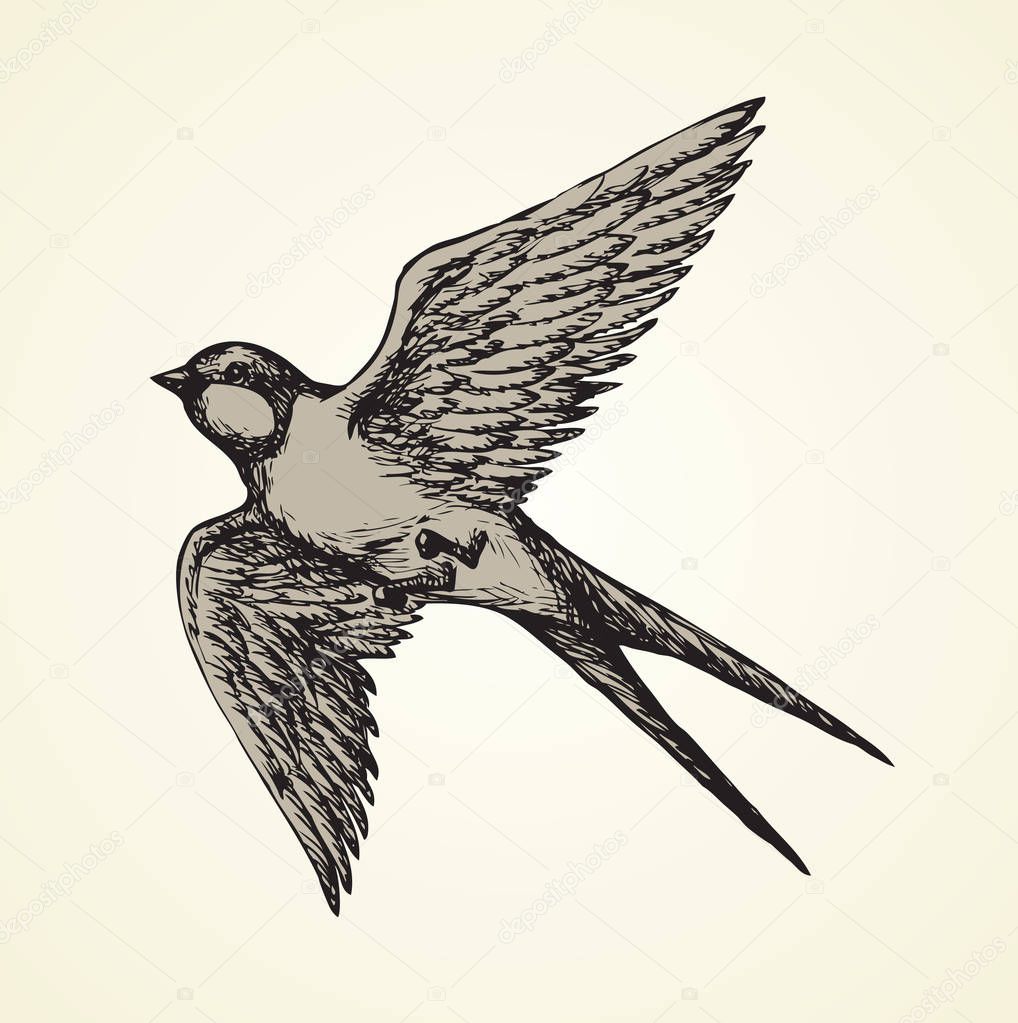 Little house barn martins on light sky backdrop. Freehand line dark ink hand drawn logotype sketchy in art retro scribble etching style pen on paper. Closeup view with space for text