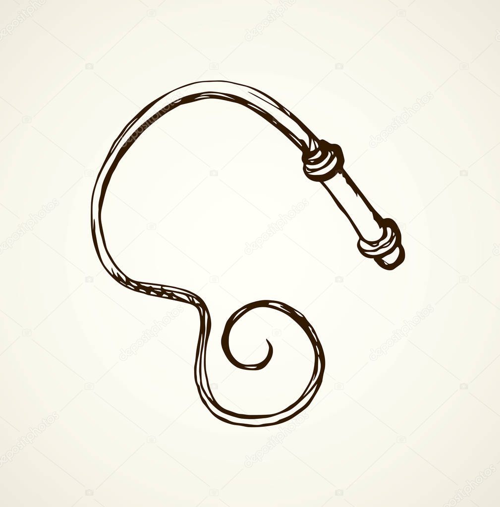 Whip. Vector drawing