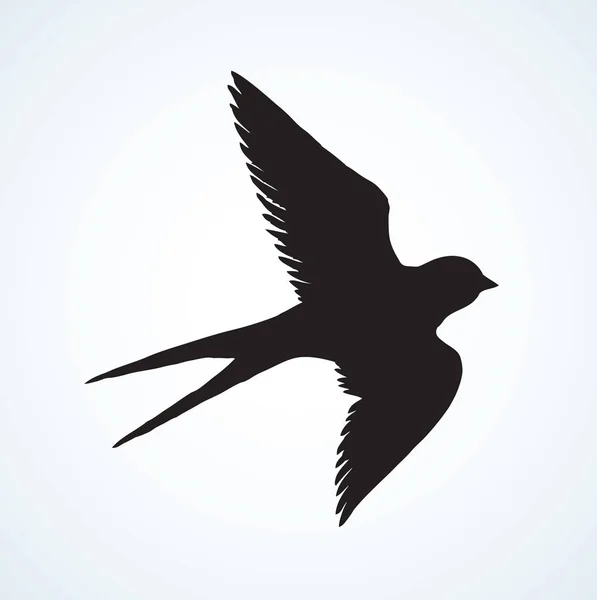 Dibujo vectorial de una serie de bocetos "Aves". Tragar. — Vector de stock