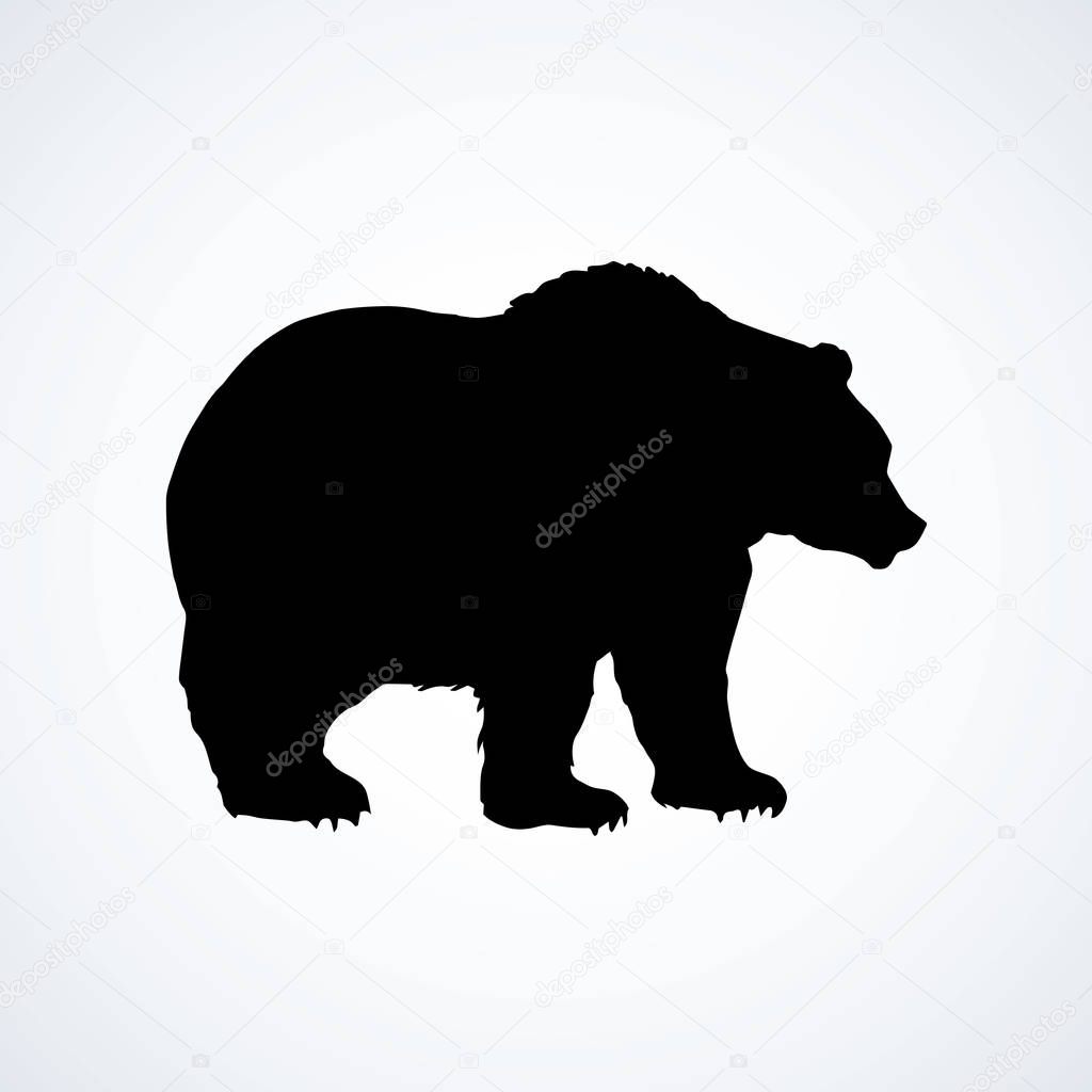 Fear furry carnivoran Ursidae stand on light sky backdrop. Dark ink hand drawn cartoon picture logotype in art retro contour print style. Closeup side view with space for text