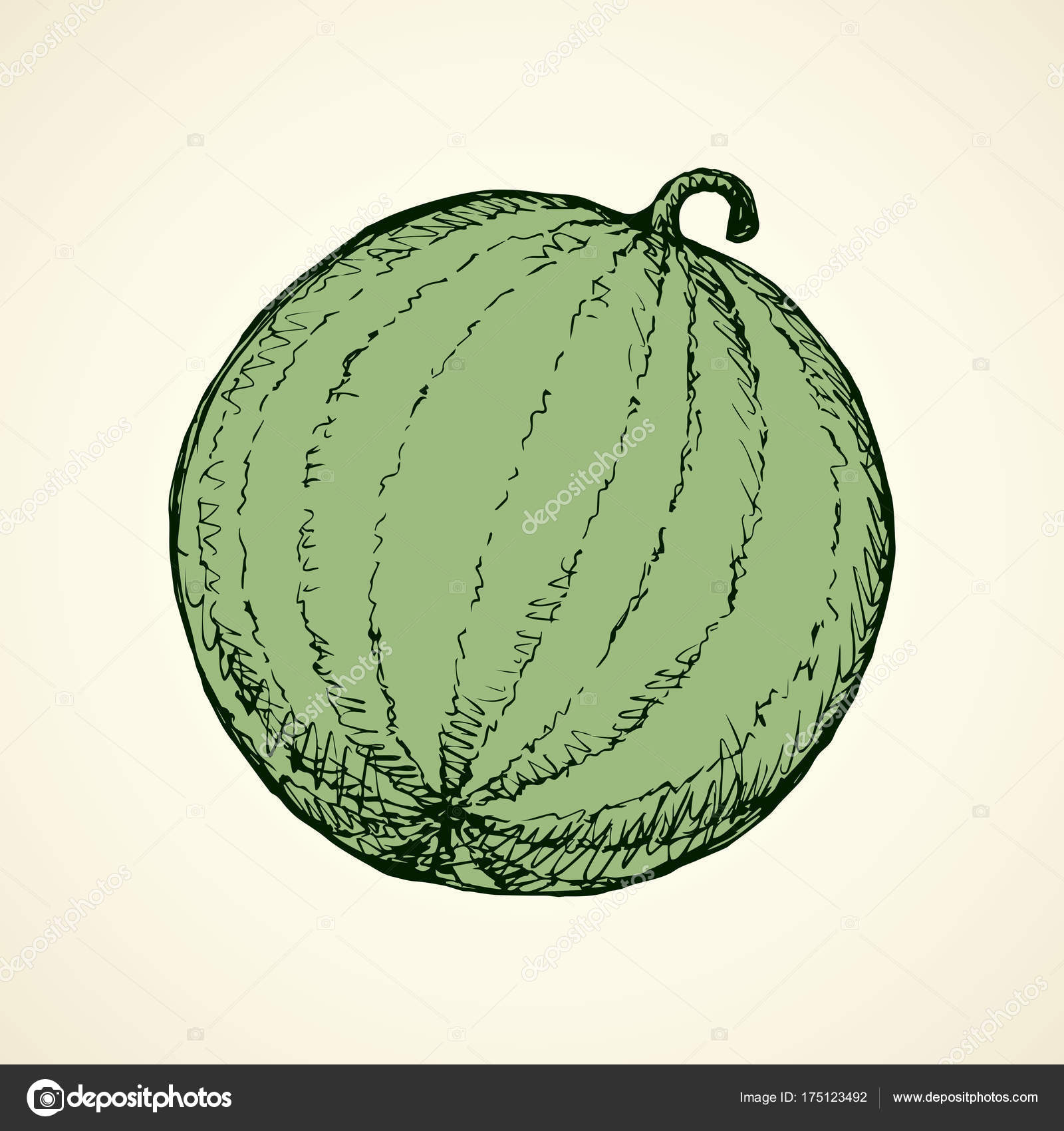 Watermelon. Vector drawing Stock Vector Image by ©Marinka 175123492
