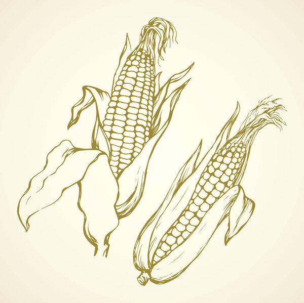 Спикер на трибуне. Векторный рисунок
