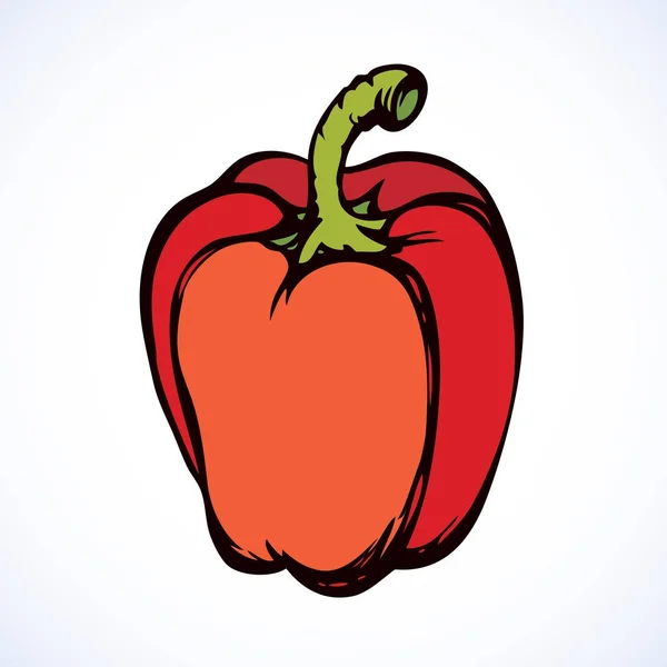 Pepper. Vector drawing — Stock Vector